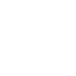 Primary Logo (White)